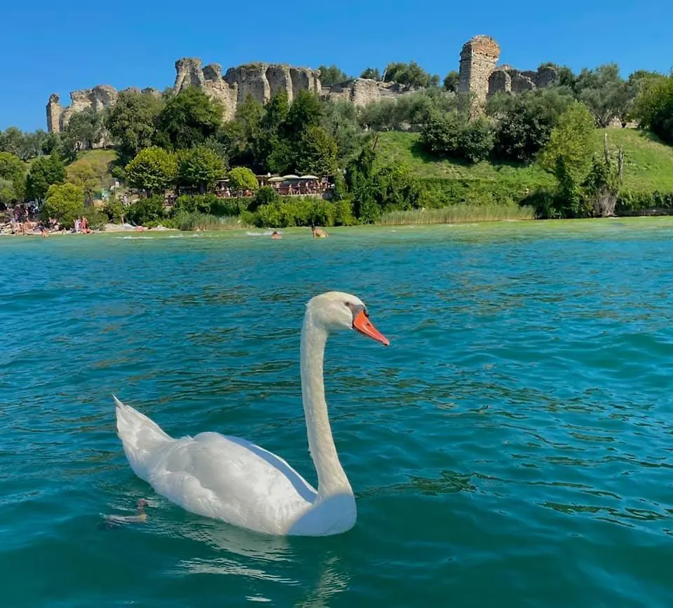 Appartamento Casa Vacanze Spiaggia D'Oro Desenzano del Garda